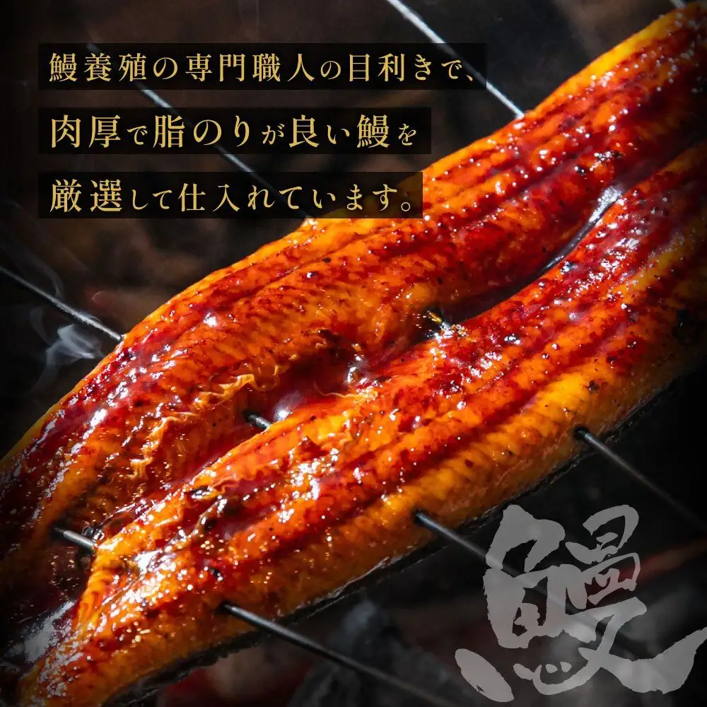 うなぎ蒲焼き(約100g）×7Pセット【魚住商店】_HA1495