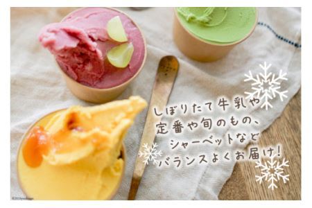 アイス ナチューラのアイスクリーム Cおまかせセット 12個入り