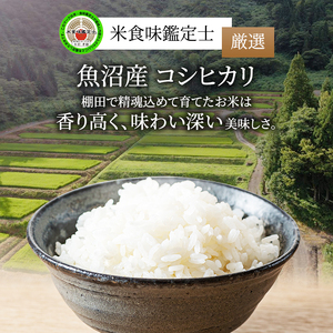 【令和8年産 新米先行受付】【無洗米】「米食味鑑定士 厳選」魚沼産コシヒカリ 6kg（3kg×2袋）米 こめ お米 コメ こしひかり 新潟県 魚沼市 魚沼 ライス ご飯 主食 新潟県産 産地直送 時短 