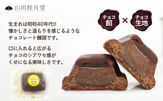 ＜山田桂月堂＞チョコレート饅頭　10個入り　45P023010【 山田桂月堂】