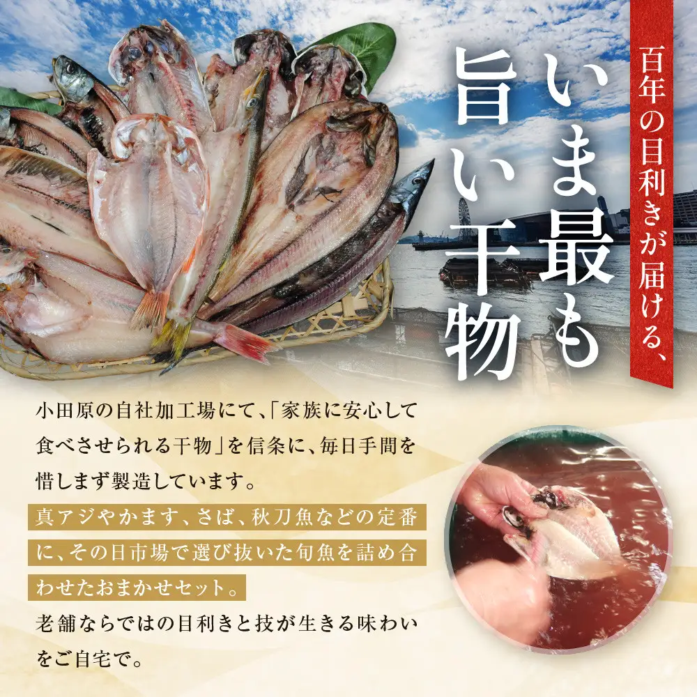 【国産】おまかせ干物セット 梅コース【お取り寄せ 海鮮 グルメ ギフト プレゼント 産地直送 産直 魚 手作り ひもの 詰め合わせ お中元 お歳暮 父の日 母の日 誕生日 自宅用 贈答品 贈答用 朝食 バーベキュー 神奈川県 小田原市 】