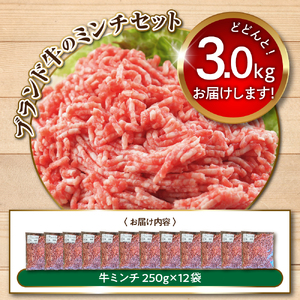 特用牛ミンチ！放牧牛花子の挽き肉3000ｇ！【er008-018】牛肉　ひき肉　挽肉　挽き肉　ミンチ　ミンチ肉　ハンバーグ　ミートソース　ミートボール