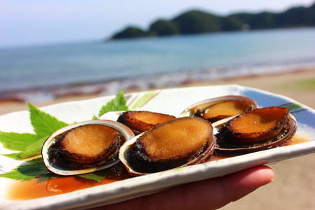 【超希少！！】煮とこぶし　【 とこぶし 手作り旨い 美味 高級 珍味 鮑 貝 魚貝 海鮮 刺身 刺し身 お刺身  】