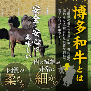 博多和牛 切出し 1㎏_KY5406
