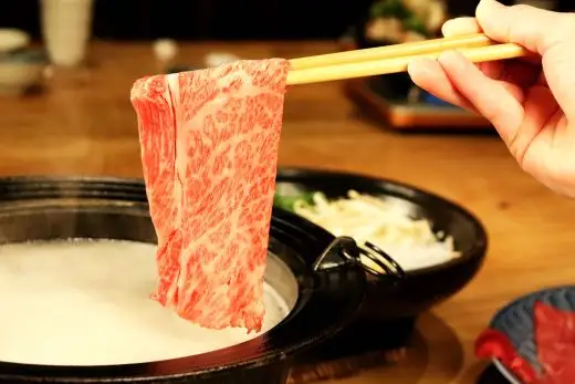 [A5等級] 飛騨牛 霜降り 牛肉 すき焼き ・ しゃぶしゃぶ 用 肩ロース 600g A5 和牛【岐阜県瑞穂市】