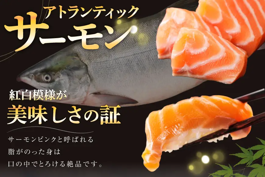ノルウェー産 アトランティックサーモン 総重量 2kg (正味重量1.7kg) 