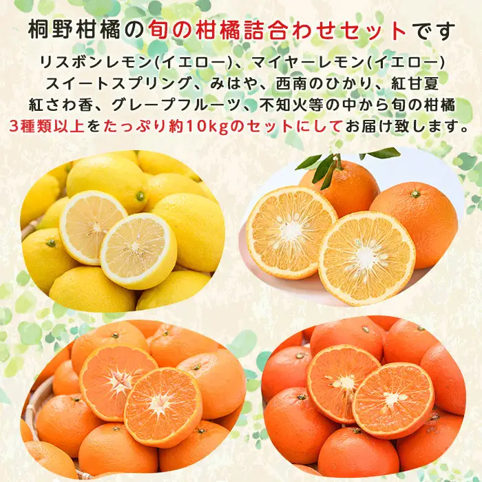 ＜2027年1月発送分！＞旬の柑橘詰合せセット (約10kg) 国産 鹿児島県 阿久根市 果実 果物 フルーツ 柑橘 みかん ミカン 旬 詰め合わせ セット【桐野柑橘株式会社】akn070-16-m01