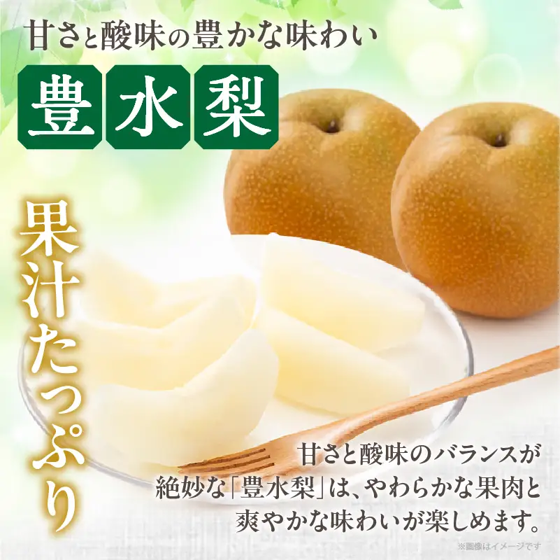 先行予約≪期間限定≫まるみ観光果樹園の『豊水梨』(約3kg) なし 果物 フルーツ 天然 ミネラル栽培_T036-0015