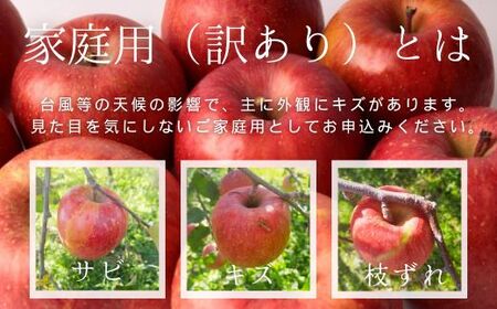 KR30 りんご シナノスイート 家庭用 約5kg（10～16玉） 長野県松川町産／10月中旬頃～配送予定 // 長野県 南信州 松川町産 リンゴ 林檎 自家用 訳あり 農家直送 農家支援 産地直送