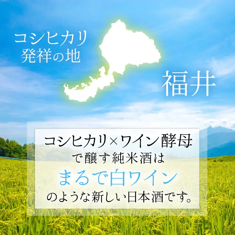 【日本酒】PURE RICE WINE 720ml×2本（純米ワイン）【新感覚！ワインのような日本酒】【ワイン 飲料 甘酸っぱい お酒 純米酒 こしひかり 白ワインタイプ ピュアライスワイン】[A-008009]