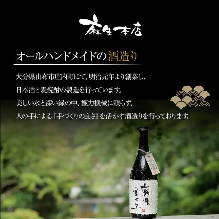 蔵元直送！豊後富士 純米吟醸 720ml×1本・豊後富士 原酒 720ml×1本 日本酒 2本セット ＜麻生本店＞
