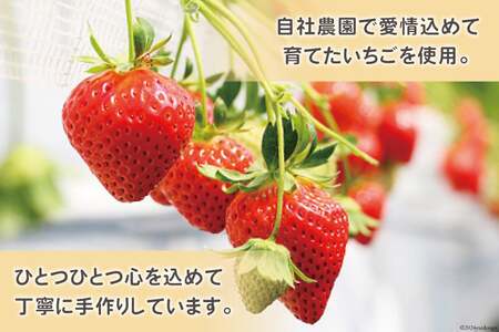ジャム 無添加 亀の子いちご園自慢の完熟いちごの手作りジャム2本セット