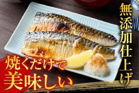 無添加天然サバフィーレ10枚 G-11022