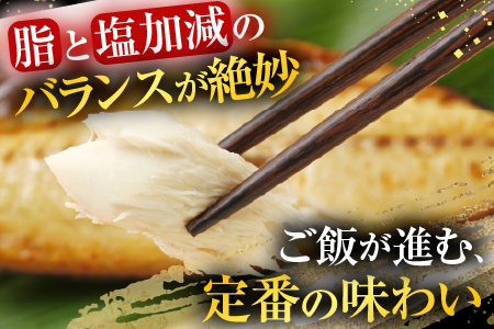 塩さばフィーレ11枚入×1P(計約1.5kg) G-14021