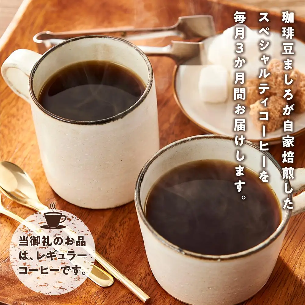 【3か月定期便 向島の珈琲豆焙煎所】スペシャルティコーヒー詰め合わせ