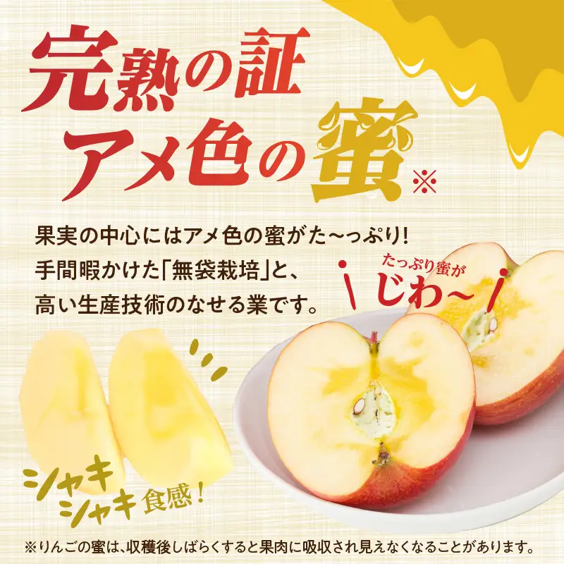 《先行受付》【贈答規格】サンふじ 5kg（16玉～20玉）【2026年11月中旬頃～順次発送予定】 043-005