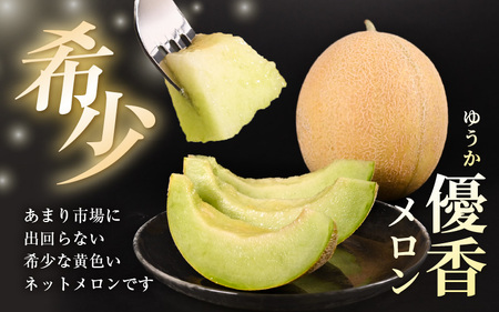 「ゆうかメロン」（青肉系メロン）2玉入り（1玉1.5kg前後） 2027年6月上旬以降発送 [A-19210]