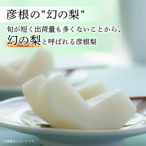 梨 旬 約3kg 彦根梨 豊水 9月発送