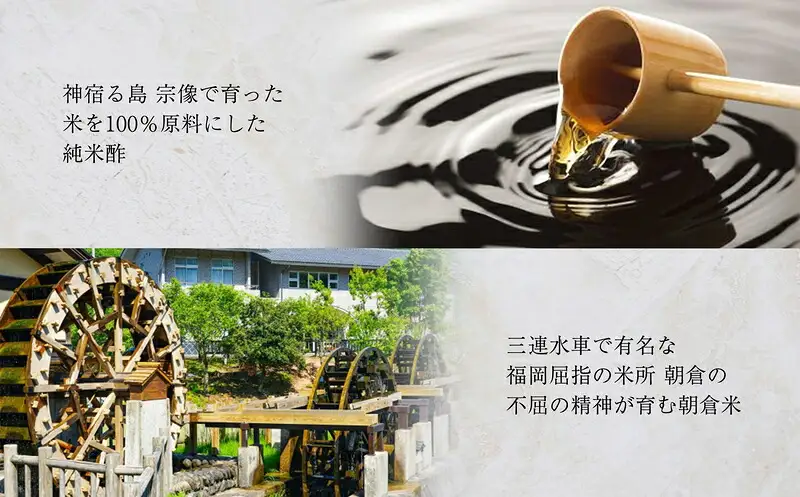 鯖寿司 清広食品 人気2種 食べ比べ セット | 鯖寿司