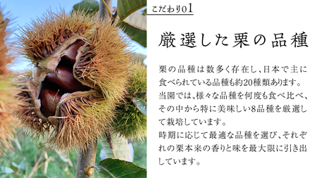 庄七農園 厳選『 最高等級 』氷蔵熟成 焼き和栗 500g【2026年10月発送開始】