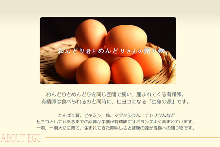 おんどり君とめんどりさんの贈り物(6個入り×8P 計48個)
