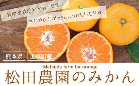 訳あり ご家庭用みかん 約5kg(S-2Lサイズ) 【日付指定不可】《10月中旬-12月下旬頃出荷》 松田農園