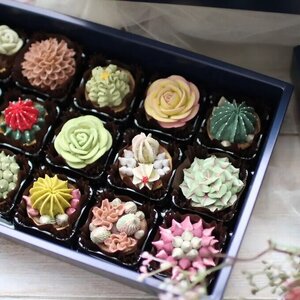 DC-005_【多肉植物クッキー】15個入り 食べられるお花！あんこのお花！【風呂敷ラッピング】　和菓子贈り物
