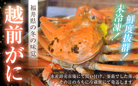 【先行予約】然 越前がに 大サイズ (茹で前約1kg) × 2杯 【2027年2月上旬以降順次発送予定】浜茹で 越前がに [m17-x002_02]