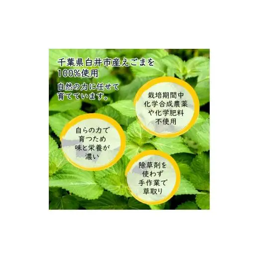 えごま油 生搾り 1本 非加熱圧搾法 国産えごま100% 栽培期間中 農薬不使用 化学肥料不使用 エゴマ油 オメガ3脂肪酸 必須脂肪酸 αリノレン酸 アルファリノレン酸 栽培期間中農薬不使用 栽培期間中化学肥料不使用