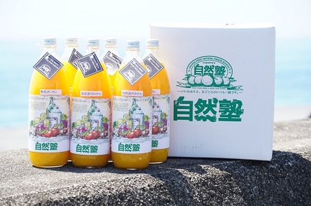 ⑮自然塾　柑橘100%まるごと絞りジュース　６本入り　みかんジュース オレンジ ポンカン 不知火 温州 ドリンク 飲料 飲み物 朝食 無添加 季節 旬【szjk0009】