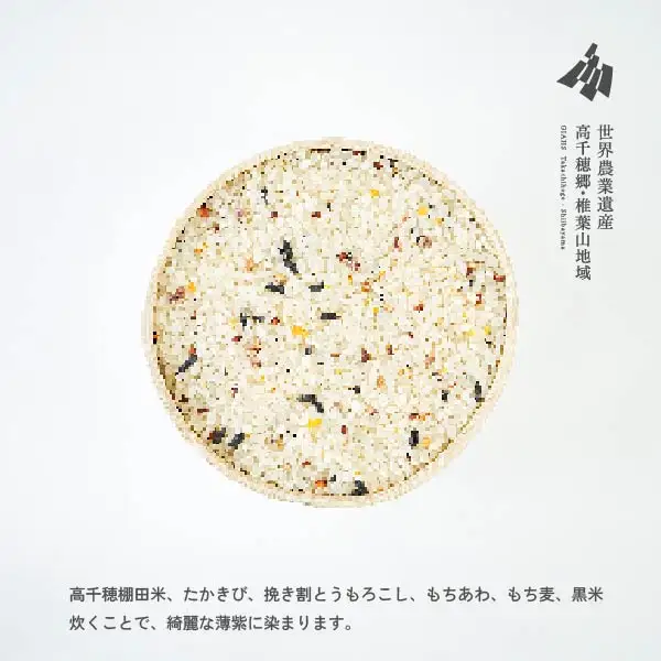 藤の花色に染まる六穀米「藤六穀（ふじろっこく）」 高千穂棚田米 たかきび 挽き割とうもろこし もちあわ もち麦 黒米 紫色 雑穀米 高千穂 宮崎 世界農業遺産 特選雑穀米 ヒノヒカリ 椎葉 諸塚 日の影 五ヶ瀬 _Tk028-005