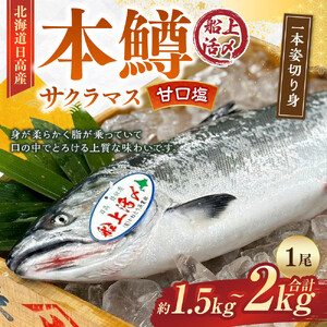 本鱒（サクラマス）船上活〆1本姿切り身【甘口塩】（1尾分1.5kg～2kg） ｜ サクラマス