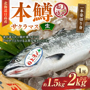 本鱒（サクラマス）船上活〆1本姿切り身【生】（1尾分1.5kg～2kg） ｜ サクラマス