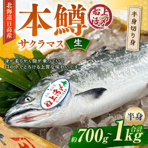 本鱒（サクラマス）船上活〆半身切り身【生】（半身約700g～1000g） 