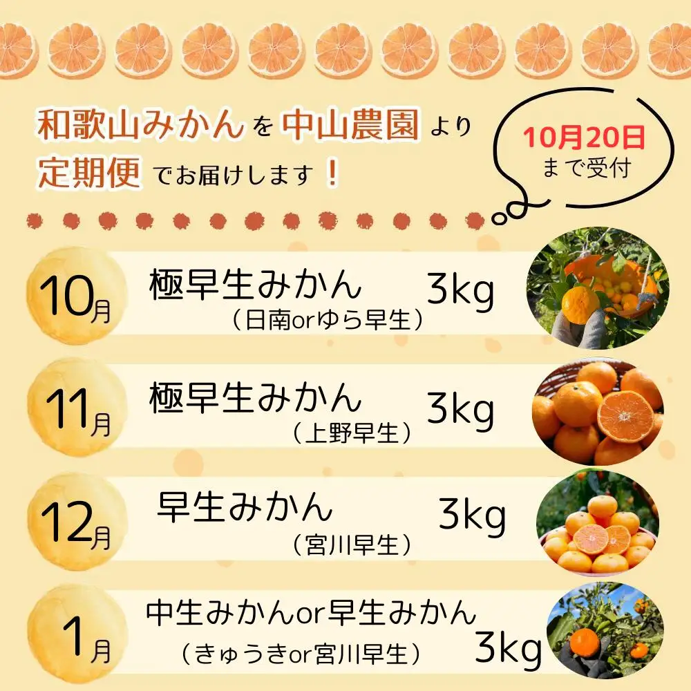 【全4回定期便】樹上完熟みかんフルコース【10月20日まで】 / 宮川早生みかん・ゆら早生・きゅうき・上野早生※2026年10月より発送 / 和歌山県 ミカン フルーツ 果物 柑橘 田辺市 みかん くだもの【nak042-tk】