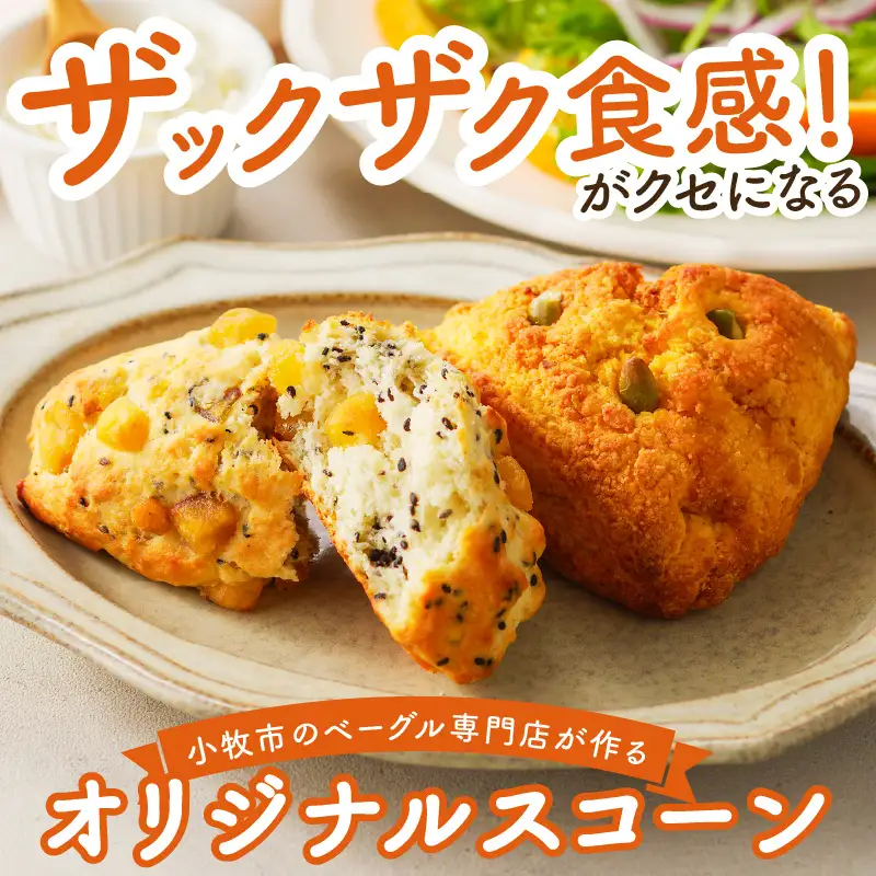 スコーン【ザクザクスコーン】ベーグル専門店pan de pan 888のおまかせスコーンセット（10個入り） 焼きたてスコーン オリジナル 人気 季節限定 食べ比べ 詰め合わせ 菓子 おやつ 朝食 モーニング ランチ  パン 抹茶 チョコレート 紅茶 ココア [144P02]