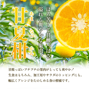 甘夏柑 小豆島産 柑橘 フルーツ 甘夏柑【約5kg】