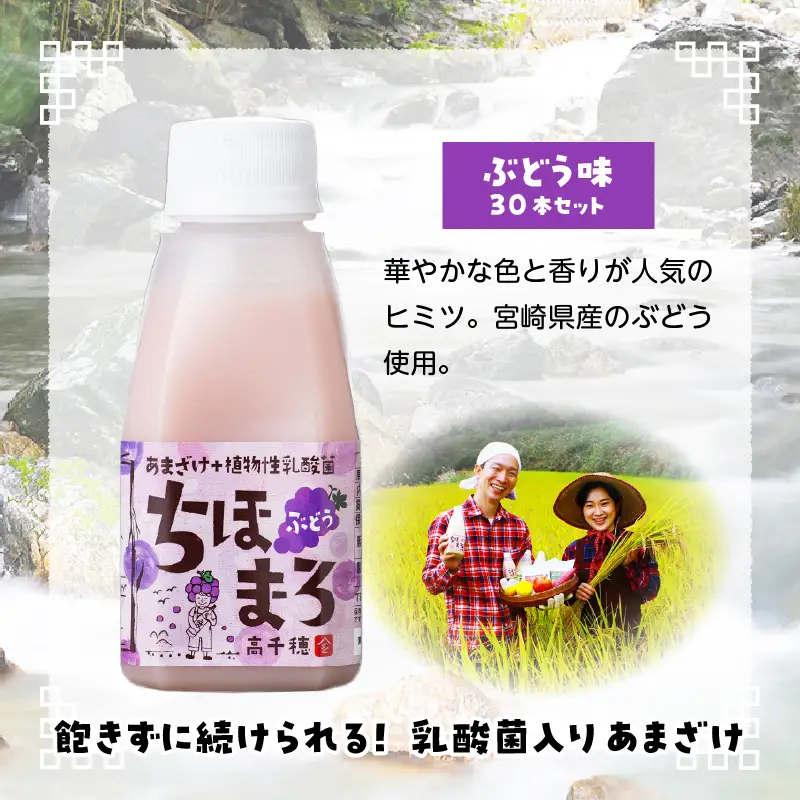 乳酸菌入りあまざけ ちほまろ 150g　30本セット【ぶどうのみ】 セット 飲み比べ 味比べ 詰め合わせ 無添加 砂糖不使用 日課 ノンアルコール 飲み物 ドリンク 飲料 お歳暮 贈り物 ギフト プレゼント 宮崎県 高千穂町 _Tk015-031-g30