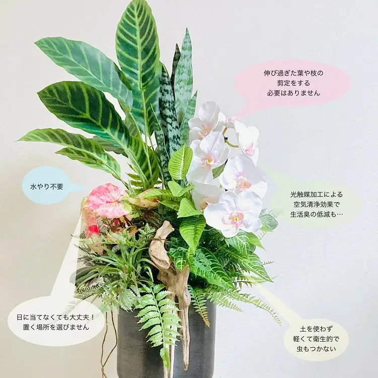 人工観葉植物 天然流木アート『カラティア』｜観葉アレンジ