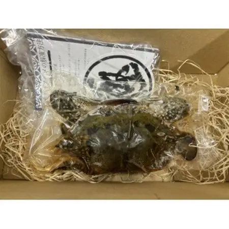 【浜名湖産】ワタリガニ(ガザミメス)カンジャンケジャン4杯_魚介・海産物   _【配送不可地域：離島】【1499173】