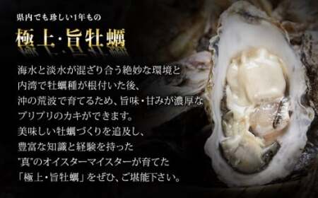 【2026シーズン受付開始！】11月中旬から順次発送予定 奥松島産 極上カキ たっぷり詰合せセット カキむき身500g×3本(計1.5kg)＋殻付きカキ40個 牡蠣 かき カキ 殻付き 剥き身