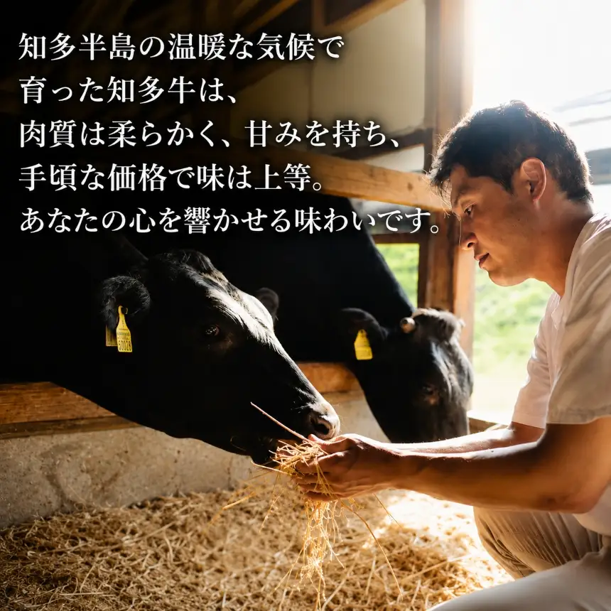 知多牛 高級4等級 【サーロインステーキ】250g4枚 ※北海道・沖縄・離島への配送不可
