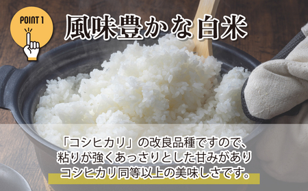 米 令和8年産 五百川 5kg (ごひゃくがわ) | 米 5kg こめ 白米 埼玉県 東松山市