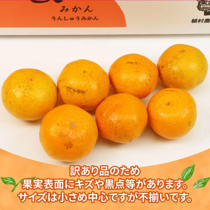 訳あり 小玉 みかん 9kg サイズ 不揃い 植村農園 小玉 B010-153010