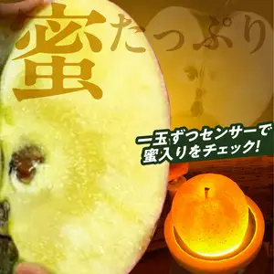 《先行予約》大江町産 山形りんご 「高徳りんご」 2.5kg （M～3S 12～16玉）【2024年10月下旬頃～発送予定】048-006