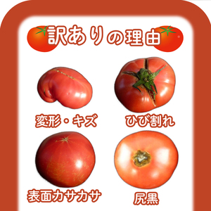 【2027年4月～発送】 トマト 大玉 訳あり 2kg トマトIM