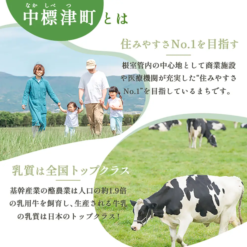 中標津町への応援寄附 5,000円(返礼品なし)【10004】