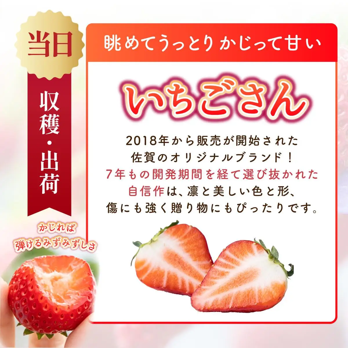 いちごさん約1kg（235g×4p）