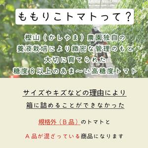 【先行予約】 2025年3月発送 ももりこトマト 約 2kg 約250g×8パック トマト トマト トマト トマト トマト