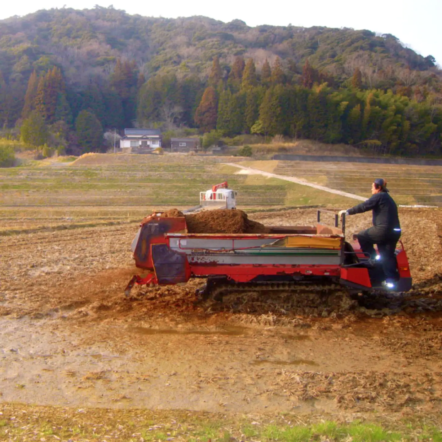 〈玄米〉有機栽培米 三瓶甘露米 こしひかり 5kg【玄米 5kg 令和6年産 米 コシヒカリ げんまい 2024年産 1等米 有機栽培 有機JAS認証 無農薬 化学肥料不使用 ダイエット】